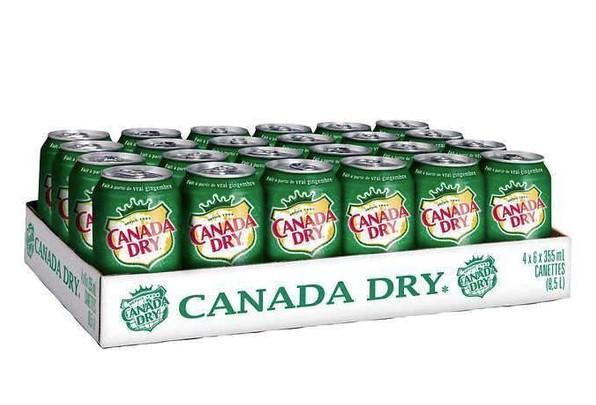 TF-052560-24-CanadaDry24